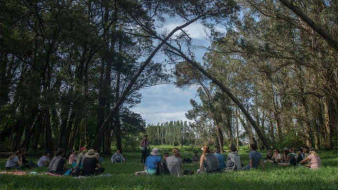 People sitting quietly under tall trees during a forest bathing session to cultivate calm and awareness.