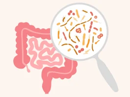 gut health and microbiota