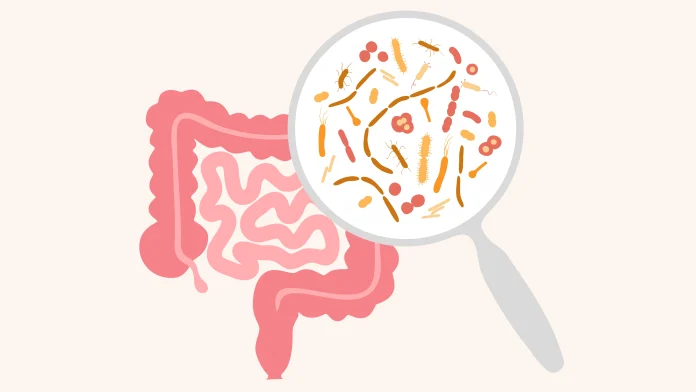 gut health and microbiota