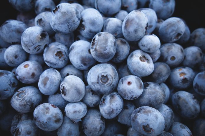 health benefits of blueberries